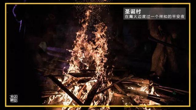东西协作 山海情深｜青企入陇，跨越山海提升文县农民收入和幸福感